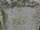 image of grave number 778514